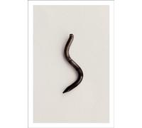 The Quiet Town of Tipton