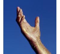 The Radicant : We Ascend VINYL 12" Album (2024) NEW FREE Shipping, Save £s