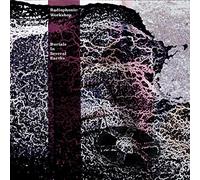 The Radiophonic Workshop - Burials In Several Earths [10" VINYL]