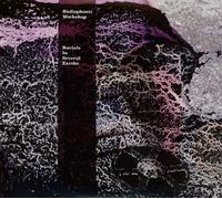 The Radiophonic Workshop - Burials In Several Earths (CD) - Free UK P&P