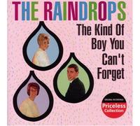 The Raindrops - Kind of Boy You Can T Forget