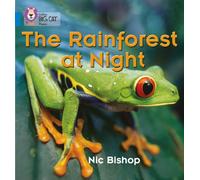 The Rainforest at Night : Band 04/Blue