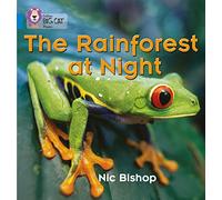 The Rainforest at Night : Band 04/Blue