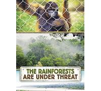 The Rainforests Are Under Threat