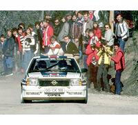 The Rally World Championship 1982
