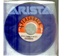 The Ramrods - (Ghost) Riders In The Sky