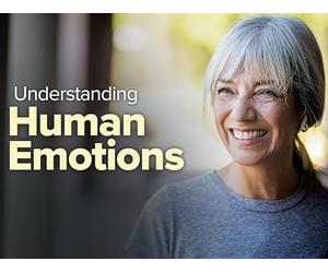 The Rational and Moral Sides of Emotions