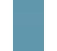 The Rationalization of Terrorism