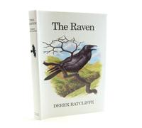 The Raven: A Natural History in Britain and Ireland (Poyser Monographs)