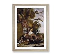 The Raven Robbed Of The Feathers By Melchior D'Hondecoeter Classic Painting Framed Print | A2 Oak Framed Wall Art | Ready to Hang | Classic Animal Picture | Living Room Bedroom Lounge Office