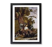 The Raven Robbed Of The Feathers By Melchior D'Hondecoeter Classic Painting Framed Print | A3 Black Framed Wall Art | Ready to Hang | Classic Animal Picture | Living Room Bedroom Lounge Office