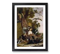 The Raven Robbed of The Feathers by Melchior D'Hondecoeter Framed Print | A2 Black Framed Wall Art | Ready to Hang | Modern Animal Picture | Living Room Bedroom Lounge Office