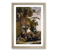 The Raven Robbed of The Feathers by Melchior D'Hondecoeter Framed Print | A2 Oak Framed Wall Art | Ready to Hang | Modern Animal Picture | Living Room Bedroom Lounge Office