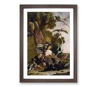 The Raven Robbed of The Feathers by Melchior D'Hondecoeter Framed Print | A2 Walnut Framed Wall Art | Ready to Hang | Modern Animal Picture | Living Room Bedroom Lounge Office