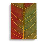 The Ravishing Leaf Red, Peach, Black Canvas Print | Gallery Wrapped 30mm Frame Wall Art | 30x20 inches | Ready to Hang | Contemporary Floral Picture | Living Room Bedroom Lounge Office