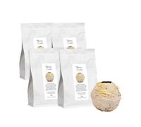 The Raw Earth - natural hand-mouldable paste, no baking required, sustainable and ideal for creative hobbies, DIY, pack of 4 pieces, each weighing 1 kg