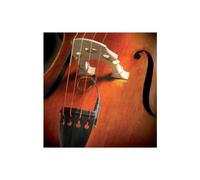 The Realist RLSTSWB1 WoodTone Bass Pickup - The Most Respected Acoustic Instrument Pickup - Transparent Sound And Texture - Unmatched Dynamic Response - Self-Powered - USA Made