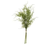The Recipe Asparagus Fern Bunch