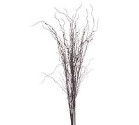The Recipe Branch Spray