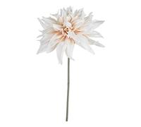 The Recipe Café Au Lait