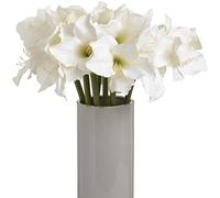 The Recipe Classic White Amaryllis Flower, one size