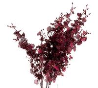 The Recipe Deep Burgundy Orchid Spray