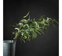 The Recipe Eucalyptus Nicholii Spray
