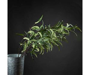 The Recipe Eucalyptus Nicholii Spray