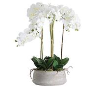The Recipe Large White Orchid In Stone Pot, One size, 19960
