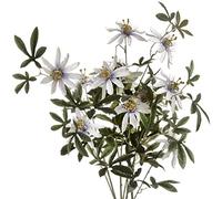 Passion Flower Spray