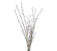 The Recipe Pussy Willow Branch, one size