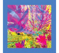 The Reds Pinks and Purples - The Past is a Garden I Never Fed