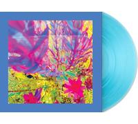 The Reds Pinks and Purples - The Past is a Garden I Never Fed [VINYL]