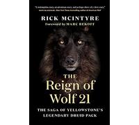 The Reign of Wolf 21: The Saga of Yellowstone's Legendary Druid Pack: 2 (The Alpha Wolves of Yellowstone, 2)