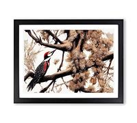 The Remarkable Woodpecker Bird Framed Wall Art Print A2 Black