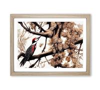 The Remarkable Woodpecker Bird Framed Wall Art Print A2 Oak