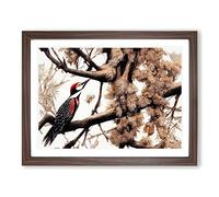The Remarkable Woodpecker Bird Framed Wall Art Print A2 Walnut