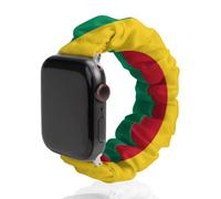 The Republic of Guinea Flag Elastic Scrunchie Watch Bands Bracelet Strap Compatible with IWatch Series 6 5 4 3 2 1 Silver-style 42mm/44mm