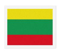 The Republic of Lithuania Flag Wall Art Posters & Prints Stylish Digital Paintings Wall Hanging Decor for Bedroom Living Room
