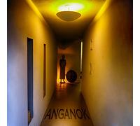 The Residents - Anganok