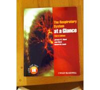 The Respiratory System at a Glance