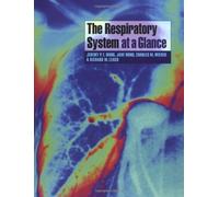The Respiratory System at a Glance