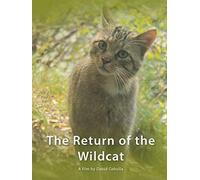The Return Of The Wildcat