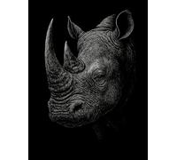 The Rhino: A Minimalist Matt Black Display Book with Blank Pages