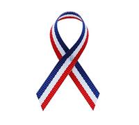 The Ribbon Factory Red/White/Blue Fabric Awareness Ribbons - Bag of 250 Fabric Ribbons w/Safety Pins