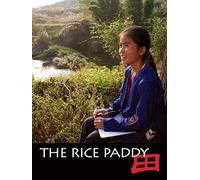 The Rice Paddy