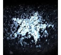 The Rions - Everything Every Single Day [VINYL]