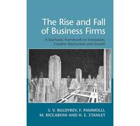 The Rise and Fall of Business Firms: A Stochastic Framework on Innovation, Creative Destruction and Growth