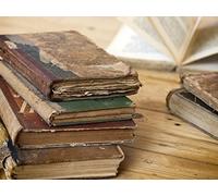 The Rise of American Language Standards