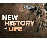 The Rise of Mammals and the Last Ice Age